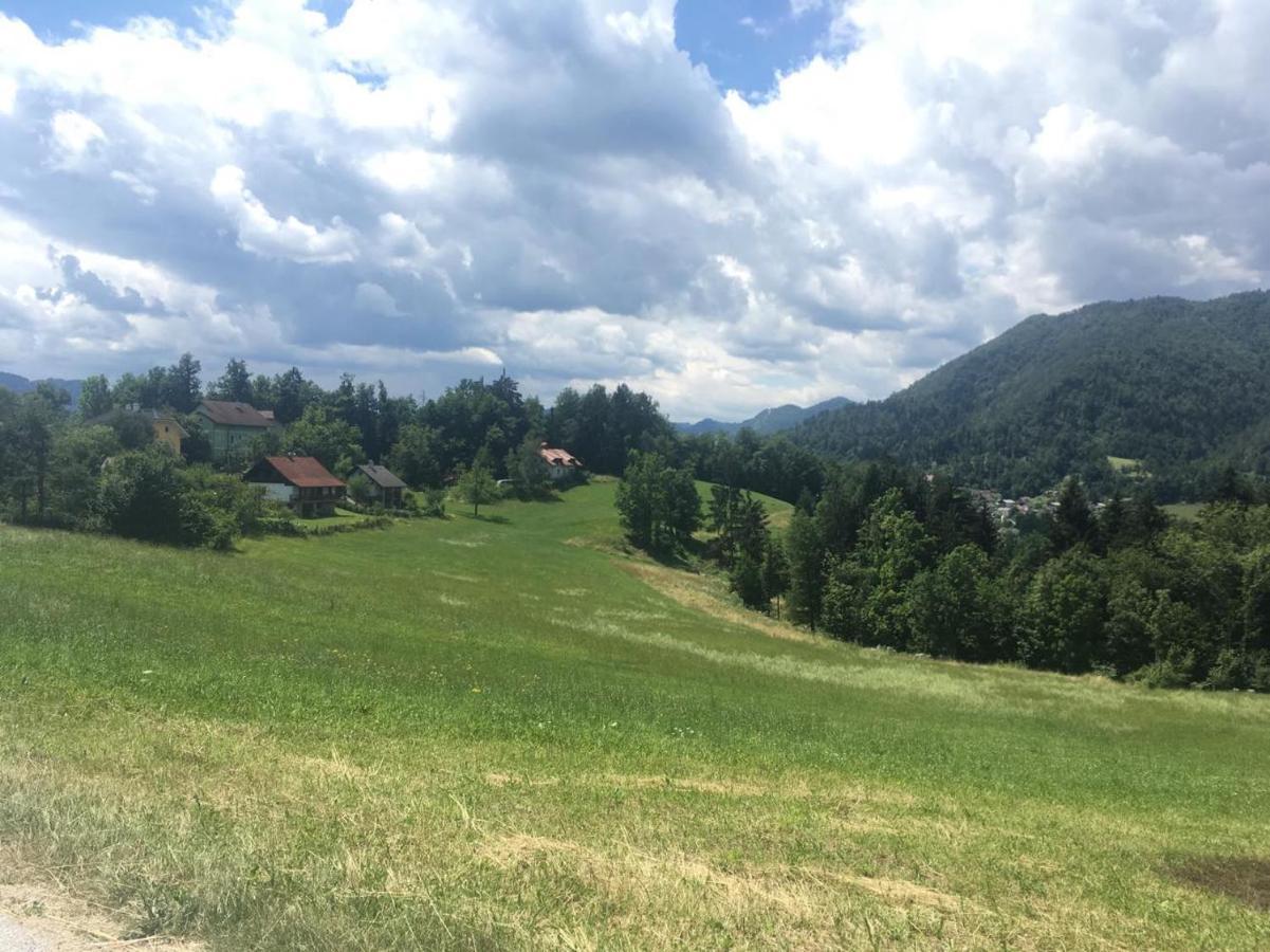 B&B Cerne Polhov Gradec Exterior foto