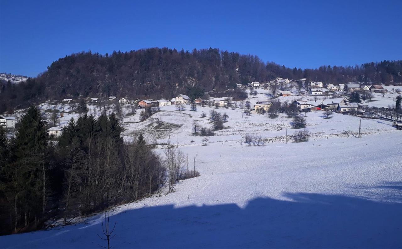 B&B Cerne Polhov Gradec Exterior foto