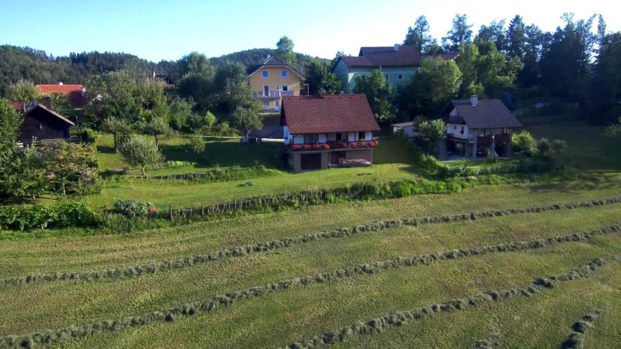 B&B Cerne Polhov Gradec Exterior foto