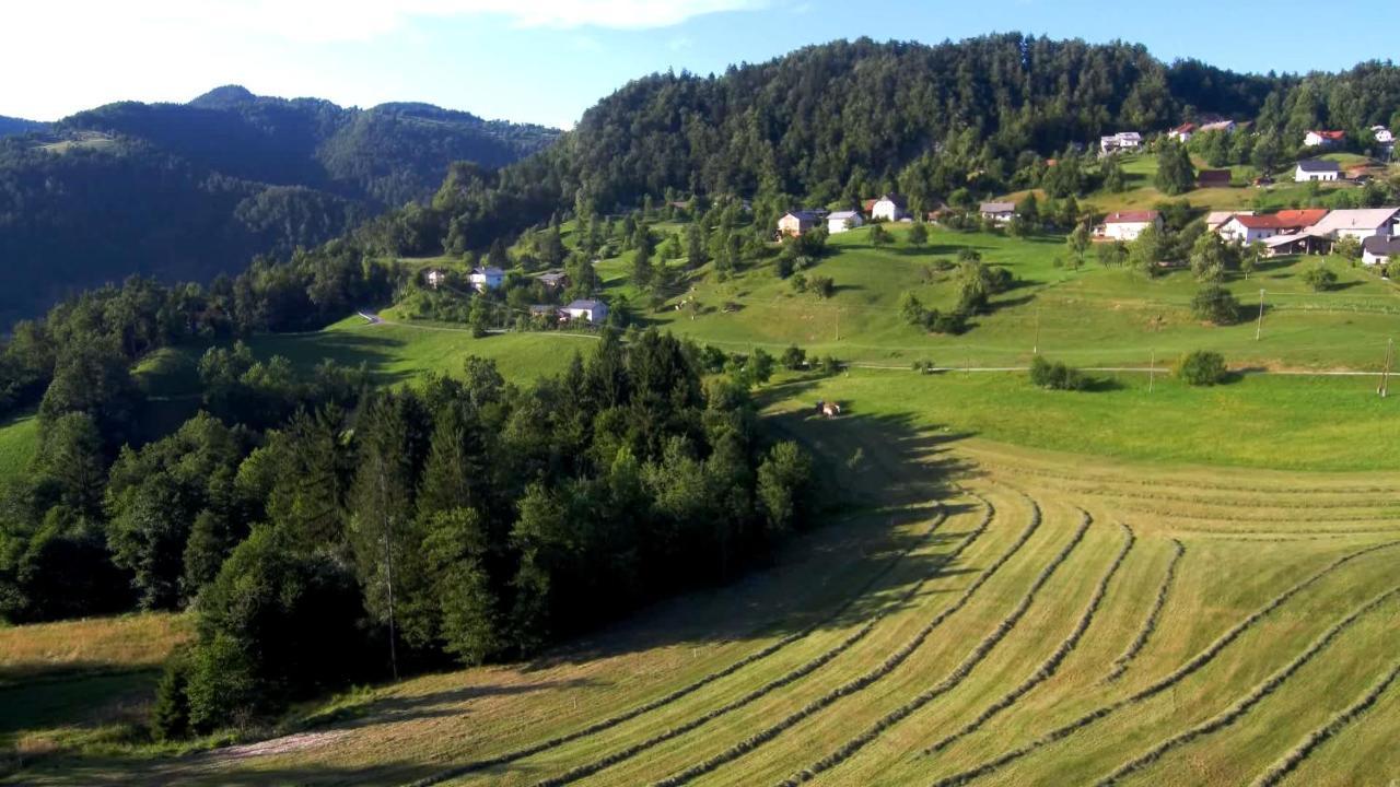B&B Cerne Polhov Gradec Exterior foto